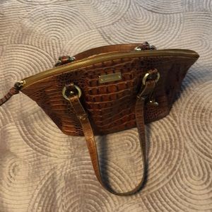 Medium Size Brahmin purse